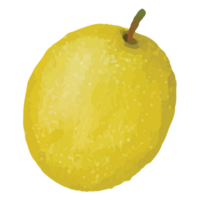 amarillo frutas acortar Arte elemento transparente antecedentes png