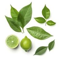 Fresh lemon with green leaves isolated on white background, generate ai photo