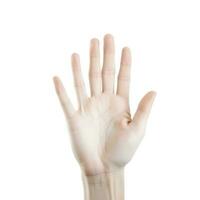 hand isolated on white background, generate ai photo