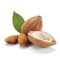 Flay lay of Almond oil with almond nuts isolate on white background, generate ai photo