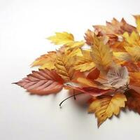 Autumn leaves isolated on white background , generate ai photo