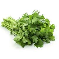 fresh cilantro coriander isolated on white background, generate ai photo