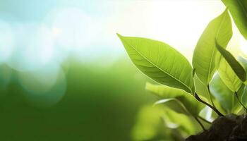 mundo ambiente día concepto, verde árbol hojas en borroso fondo, generar ai foto