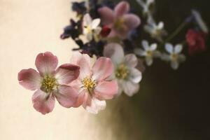 Beautiful spring border, blooming rose bush. Flowering rose hips against on wall. Soft selective focus, generate ai photo