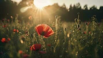 A stunning photo captures the golden hour in a field of radiant red poppies, symbolizing the beauty, resilience, and strength of nature, generate ai