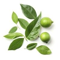 Fresh lemon with green leaves isolated on white background, generate ai photo