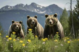 un familia de osos jugando en un campo de flores silvestres con un montaña rango en el fondo, generar ai foto