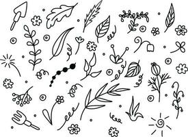 Vector set of different doodles. Hand drawn elements for concept designs. Doodle illustration. Vector template for decoration. Doodle flowers, herbs, leaves, berries, garden elements