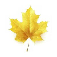 yellow maple leaf leaves on white background, generate ai photo