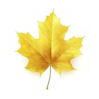 yellow maple leaf leaves on white background, generate ai photo