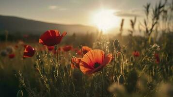 A stunning photo captures the golden hour in a field of radiant red poppies, symbolizing the beauty, resilience, and strength of nature, generate ai