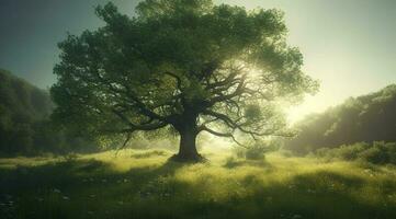 un grande árbol con brillante Dom rayos, en el estilo de pastoral encanto, oscuro verde y ligero verde, tranquilamente poético, combinatorio natural y hombre hecho elementos, generar ai foto