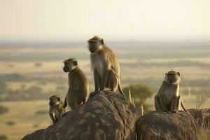 un familia de babuinos encaramado en un rocoso afloramiento en un sabana paisaje, generar ai foto