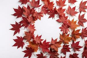 red maple leaves isolated on white background, generate ai photo