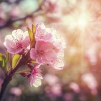 Spring border or background art with pink blossom. Beautiful nature scene with blooming tree and sun flare , generat ai photo