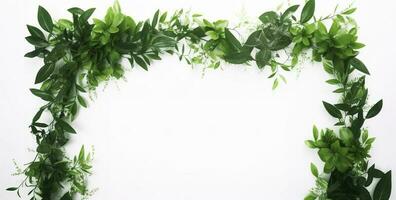 green plant and leaves frame isolated on white background,  for wedding invitations and greeting cards, generate ai photo