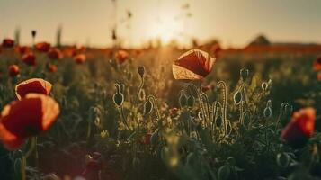 A stunning photo captures the golden hour in a field of radiant red poppies, symbolizing the beauty, resilience, and strength of nature, generate ai