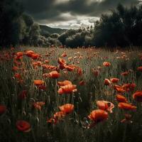 Dramatic Poppy flowers field. Anzac day banner. Remember for Anzac, Historic war memory. Anzac background. Poppy field, Remembrance day. , generate ai photo