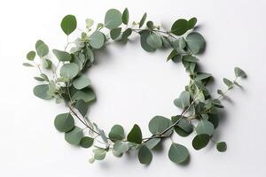 Wreath made of eucalyptus branches. Green floral frame made of eucalyptus leaves. Decorative wreath isolated on white. Minimal natural composition, botanical design, flat lay, top view. photo