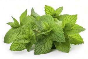 fresh green mint leaves isolated on white background, top view. Flat lay, generate ai photo