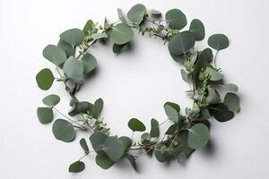 Wreath made of eucalyptus branches. Green floral frame made of eucalyptus leaves. Decorative wreath isolated on white. Minimal natural composition, botanical design, flat lay, top view. photo