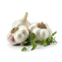 garlic isolated on white background, generate ai photo