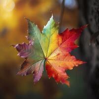autumn maple leaves in a row, vivid colors, panorama illustration on black background photo