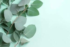 Natural eucalyptus leaves on mint pastel green background. Flat lay floral composition, top view, copy space, generate ai photo