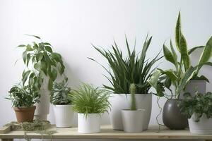 verde plantas de interior en ollas y riego lata en de madera mesa cerca blanco pared , generar ai foto