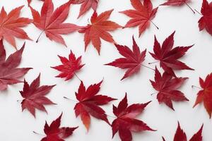 red maple leaves isolated on white background, generate ai photo