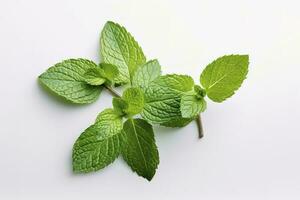 fresh green mint leaves isolated on white background, top view. Flat lay, generate ai photo