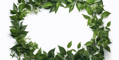 green plant and leaves frame isolated on white background,  for wedding invitations and greeting cards, generate ai photo