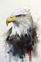 Bald eagle flying draw and paint on white background vector illustration, generate ai photo