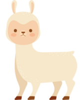 Lama Bauernhof Tier Symbol isoliert png