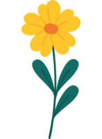 yellow flower spring png