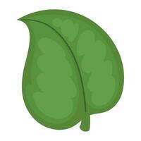 leaf ecological sustainability icon isolated vector