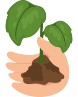 mano con planta ecológico sustentabilidad icono aislado png