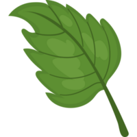 leaf ecological sustainability icon isolated png