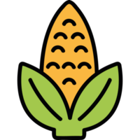 vegetable ripe organic corn cob png