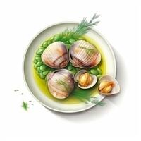The abalone is a species of shellfish in the Haliotidae family and the Haliotis genus. . photo