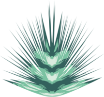 Aloe vera texturiert Pflanze isoliert Symbol png