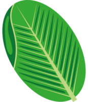 Palme Blatt isoliert Symbol Design png