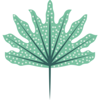 leaf textured plant isolated icon png