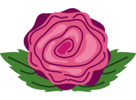 flower rose icon isolated design png