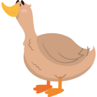 Ente Symbol isoliert png
