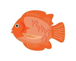 fish on white background vector