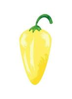 yellow chili pepper vector