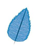 leaf white background icon vector