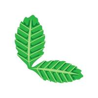 leaves organic isolated icon design vector