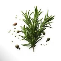 Fresh green organic rosemary leaves and pepper isolated on white background. natural transparent shadow, Ingredient, spice for cooking. collection for design, generate ai photo